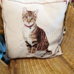 20211117 - Coussin chat 1