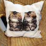 20211117 - Coussin chats