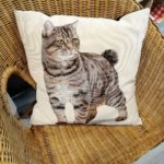 20211117 - Coussin chat 3