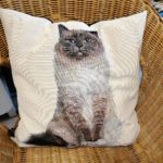 20211117 - Coussin chat 2