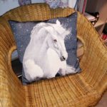 20211206-Coussin cheval