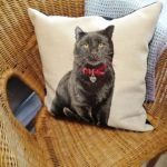 20220316 - Coussin chat