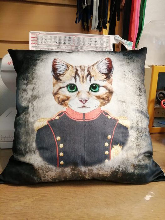 20220511 - Coussin chat