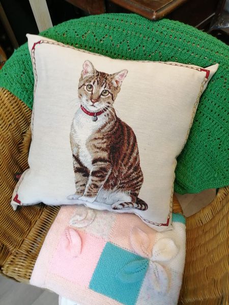 20221130 - Coussin chat